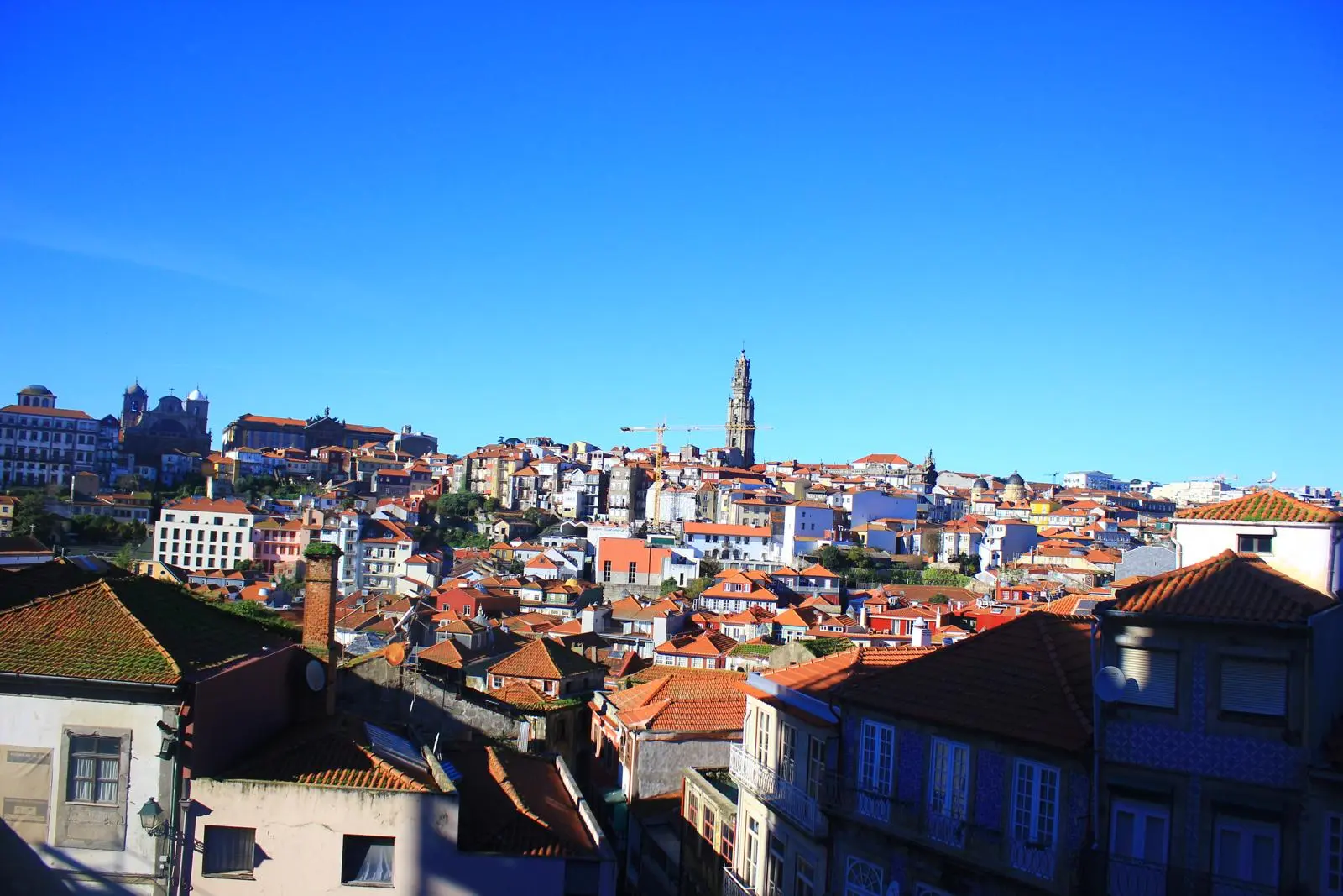 Free tours in Porto - Revolutours