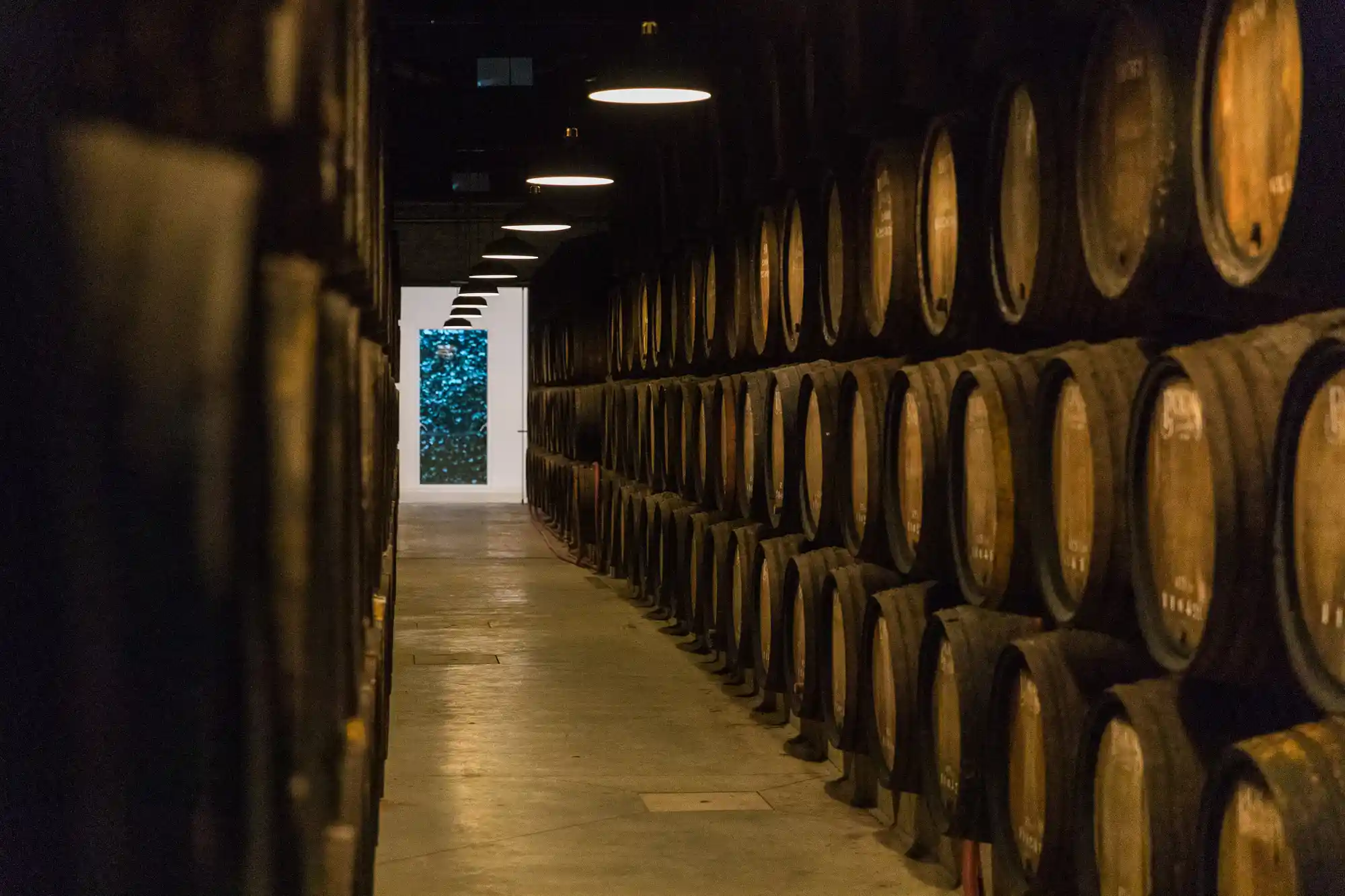 Wine cellar + tasting: Poças