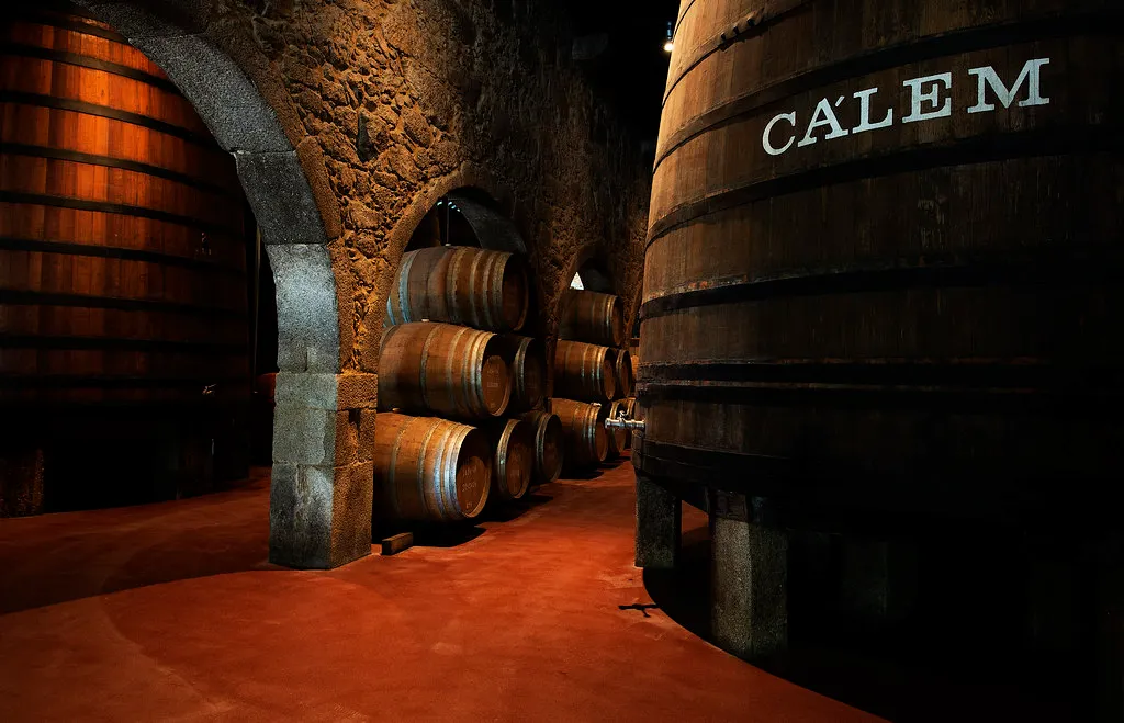 Wine cellar + tasting (Calem)
