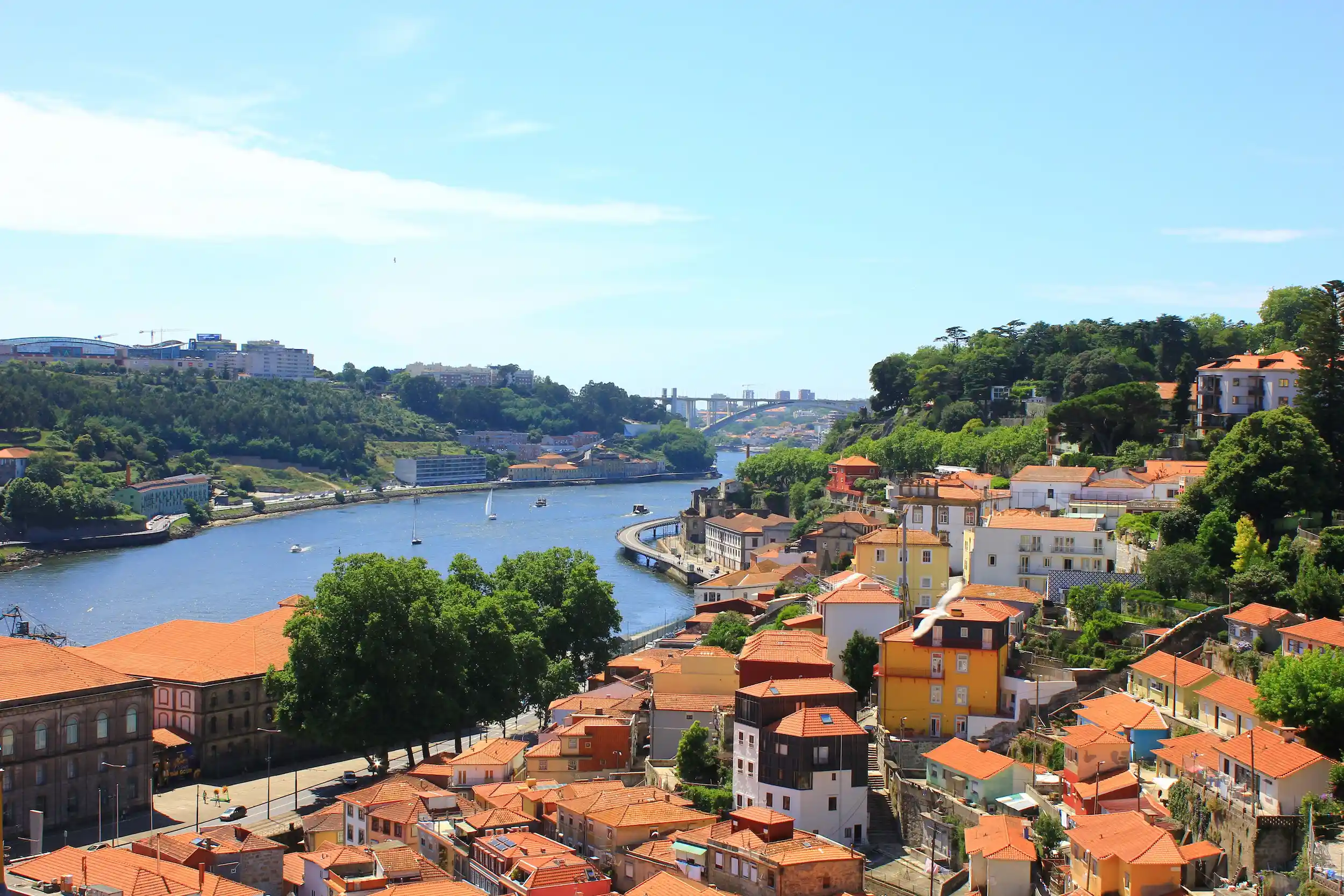 Old Town and Ribeira Free Tour
